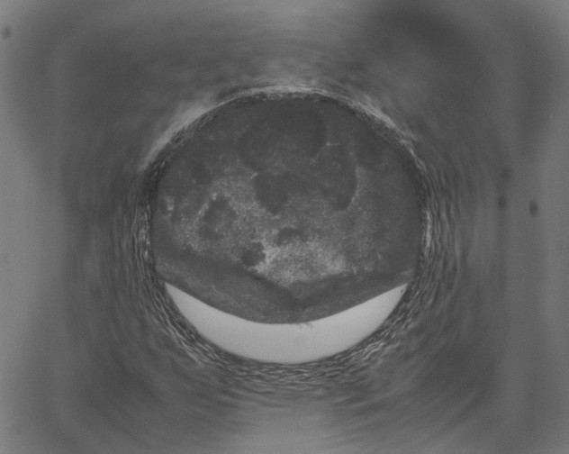 X0000062631255200601181711