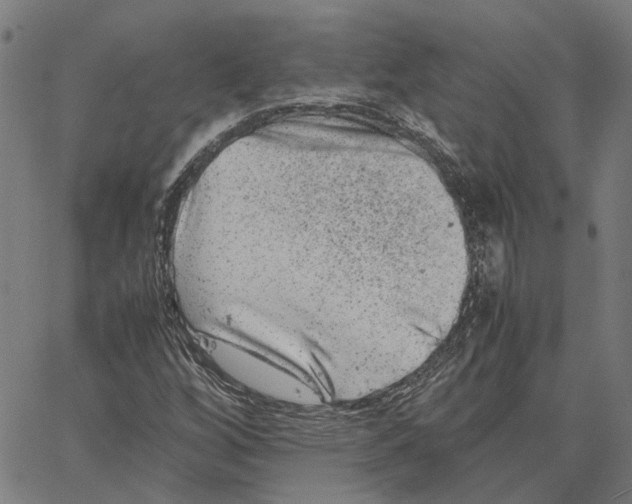 X0000062631256200601181711