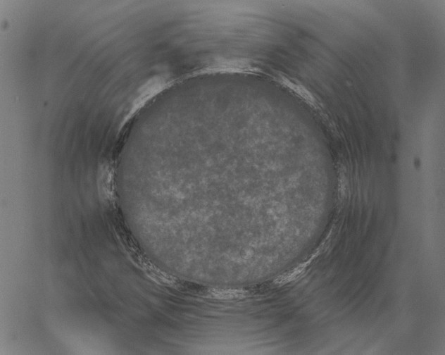 X0000062631258200601181711