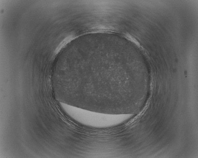 X0000062631259200601181711