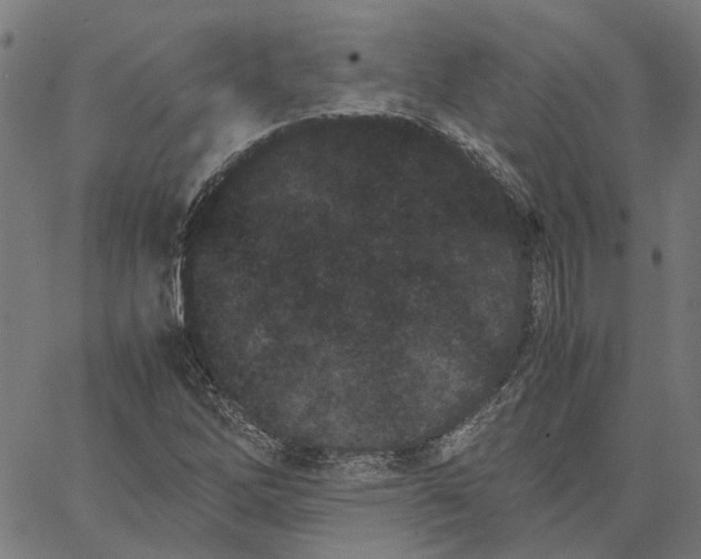 X0000062631262200601181711