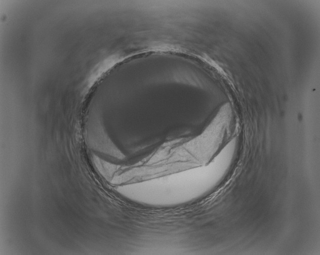 X0000062631263200601181711