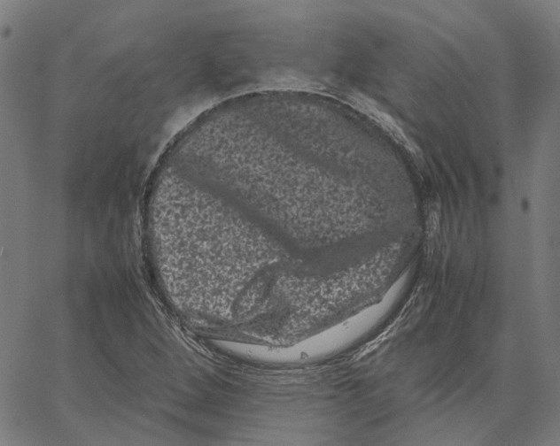 X0000062631264200601181711