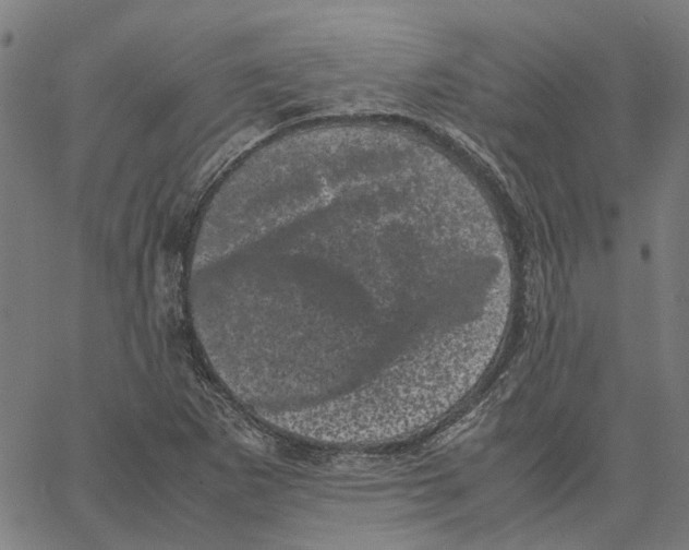 X0000062631265200601181711