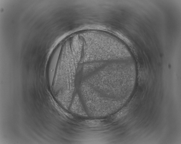 X0000062631272200601181711