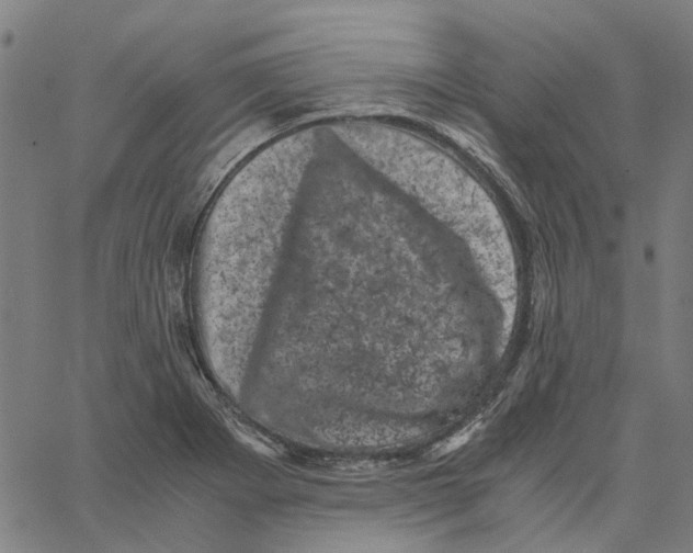 X0000062631273200601181711