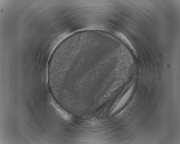 X0000062631276200601181710