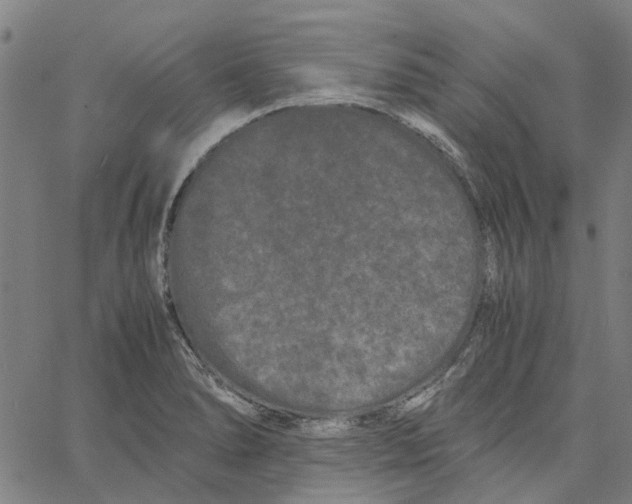 X0000062631278200601181710