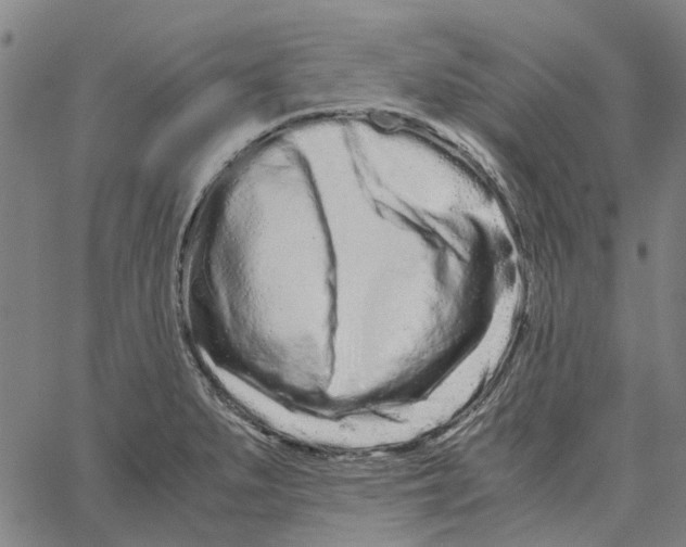 X0000062631279200601181710