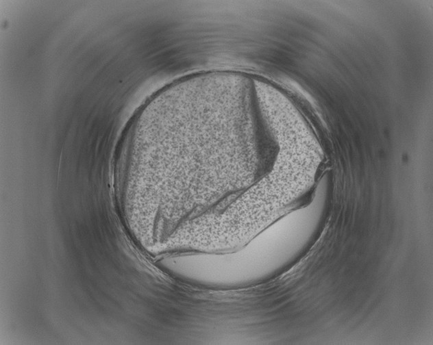 X0000062631280200601181710