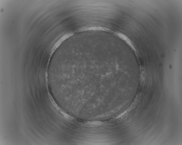 X0000062631282200601181710