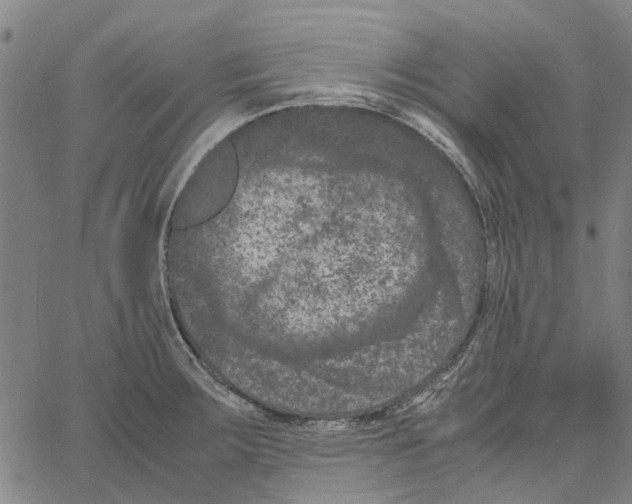 X0000062631283200601181710