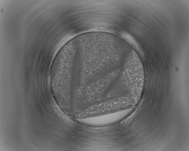 X0000062631284200601181710