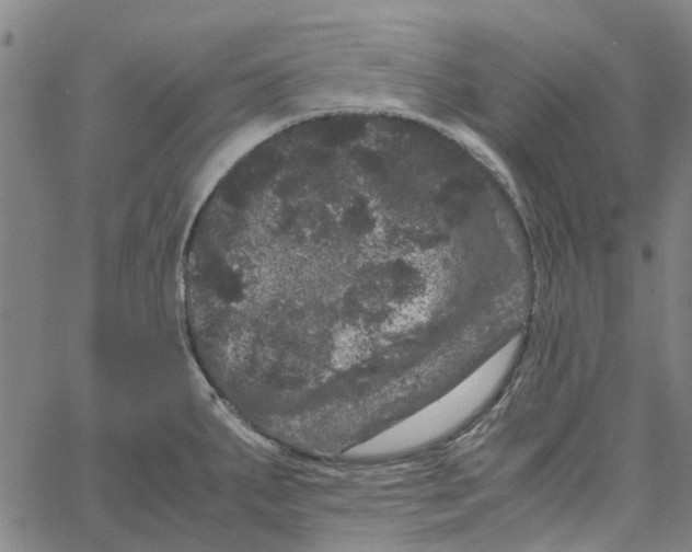 X0000062631287200601181710