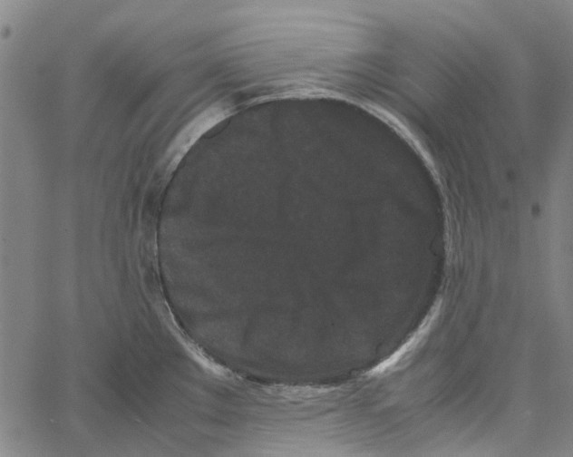 X0000062631289200601181710