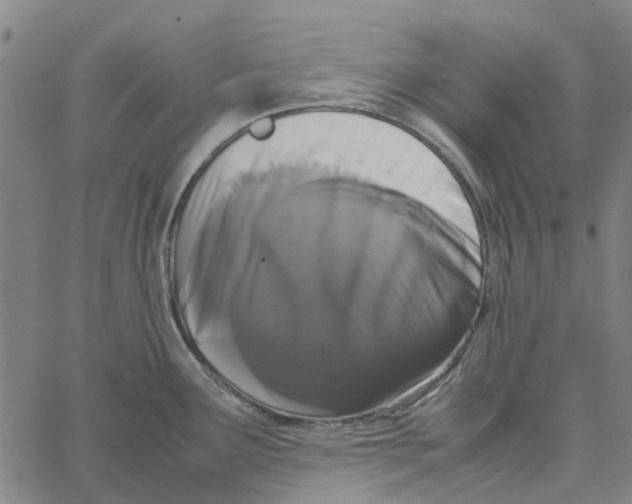 X0000062631291200601181710