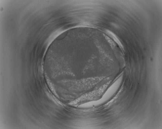 X0000062631292200601181710