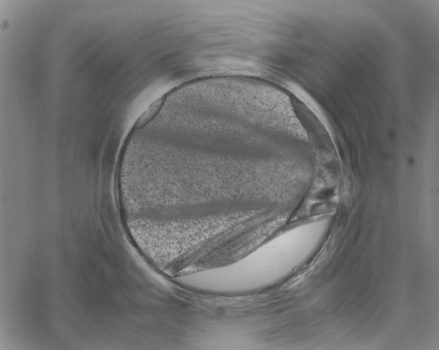 X0000062631293200601181710