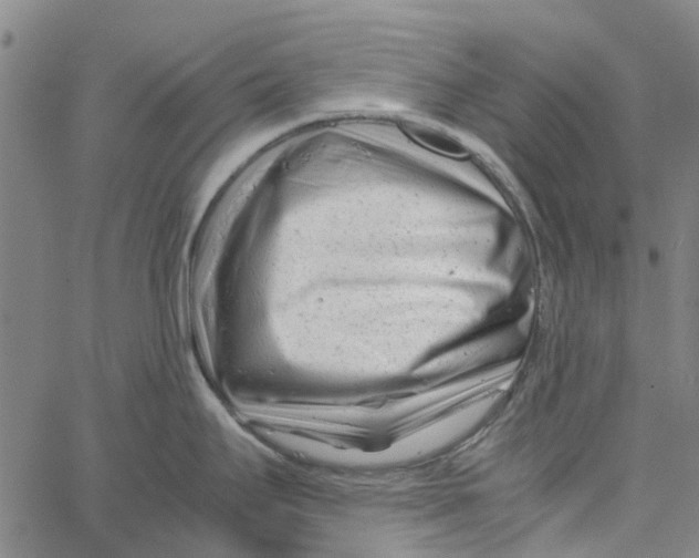 X0000062631295200601181710