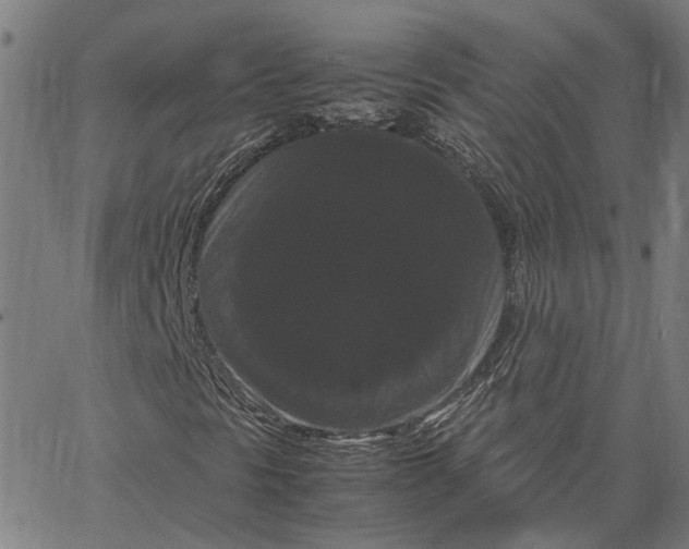 X0000062631297200601181709