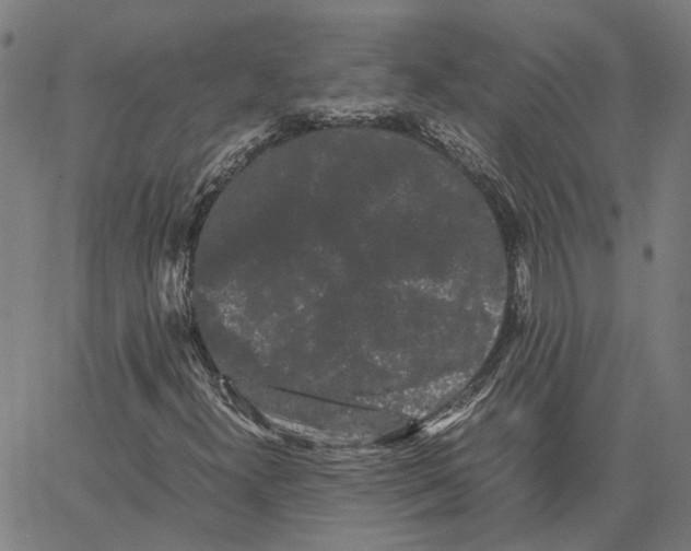 X0000062631300200601181709