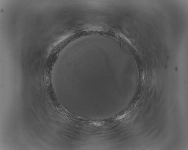 X0000062631303200601181709