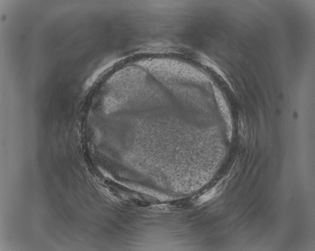 X0000062631304200601181709