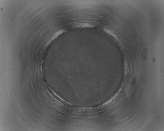 X0000062631305200601181709