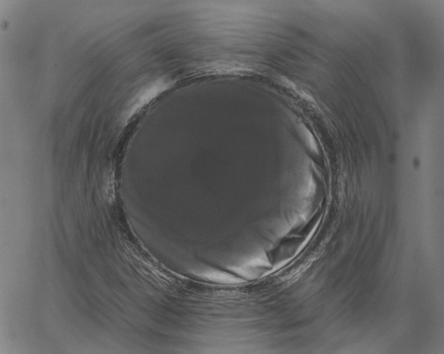 X0000062631306200601181709