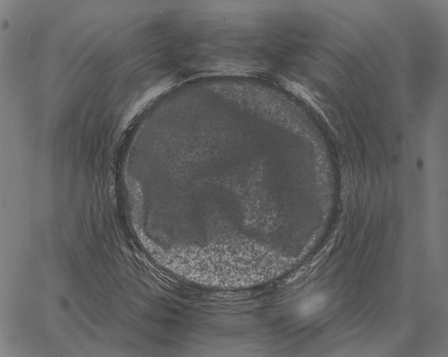 X0000062631307200601181710