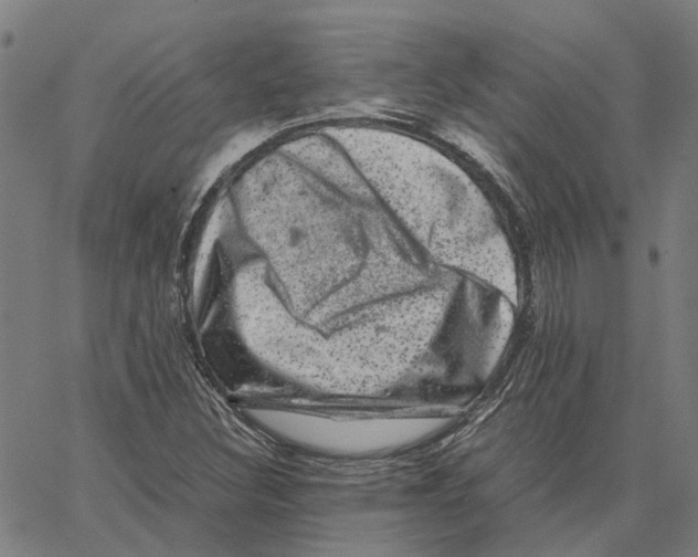 X0000062631308200601181710