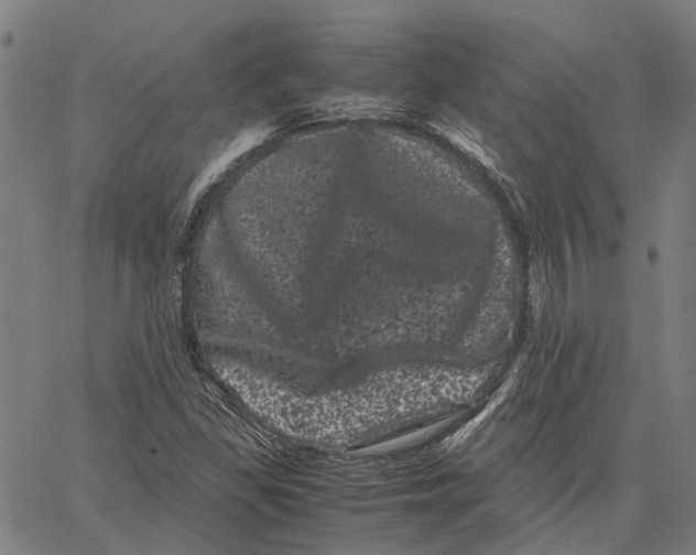 X0000062631309200601181710