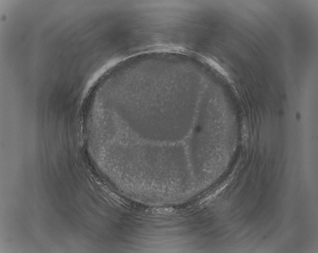 X0000062631310200601181710