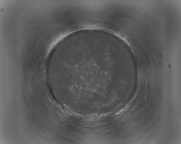 X0000062631311200601181710