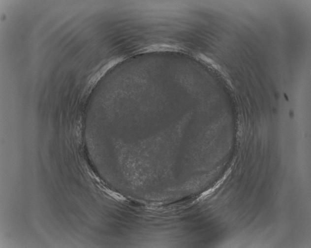 X0000062631313200601181710