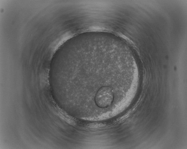 X0000062631314200601181710