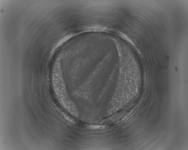 X0000062631315200601181710