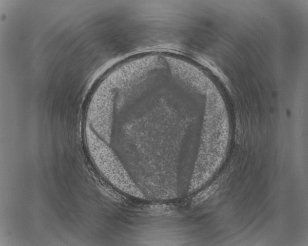 X0000062631316200601181710