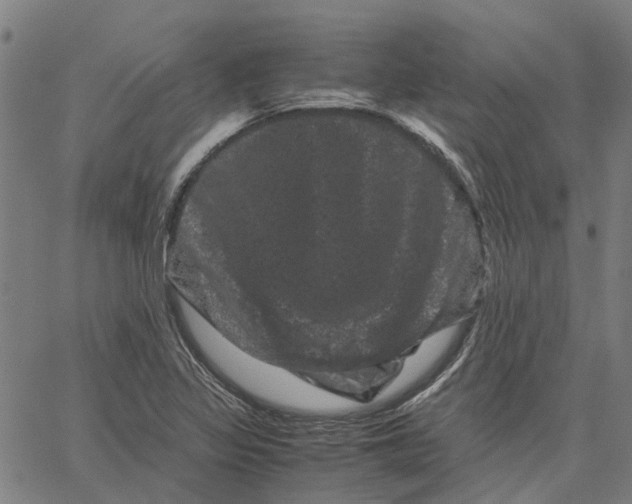 X0000062631317200601181710