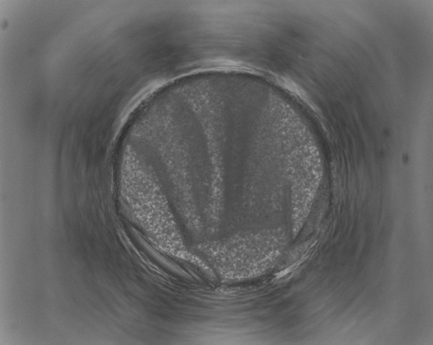 X0000062631318200601181710