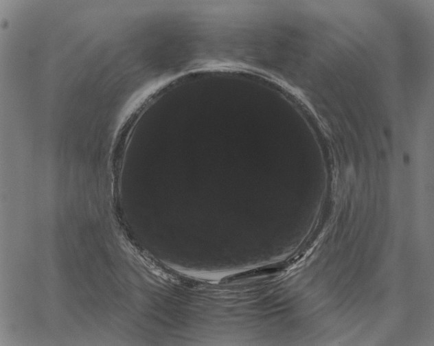 X0000062631319200601181710