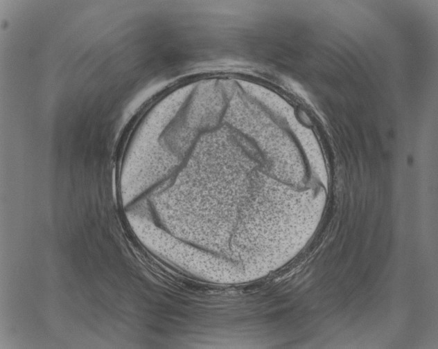 X0000062631320200601181710