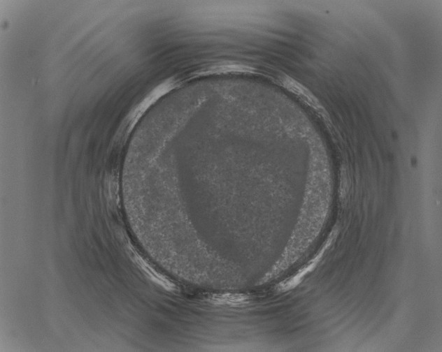 X0000062631321200601181710