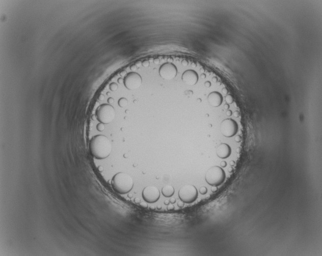 X0000062631322200601181710