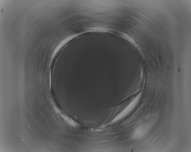 X0000062631323200601181710