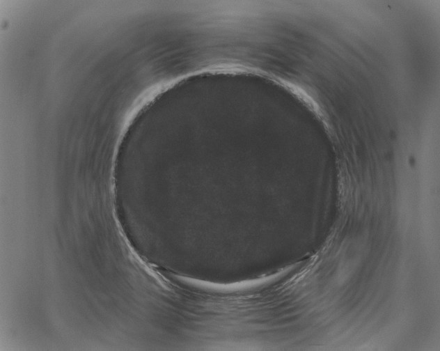 X0000062631327200601181710