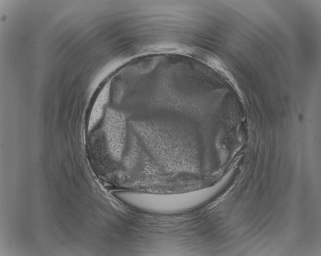 X0000062631328200601181710