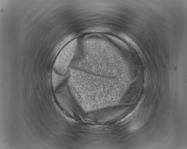 X0000062631329200601181710