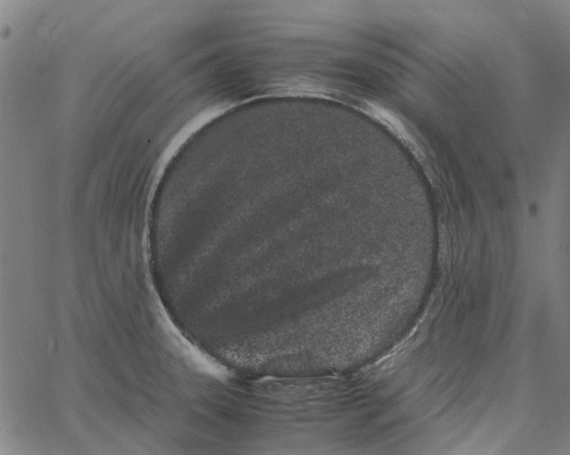 X0000062631331200601181710