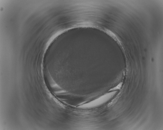 X0000062631334200601181710